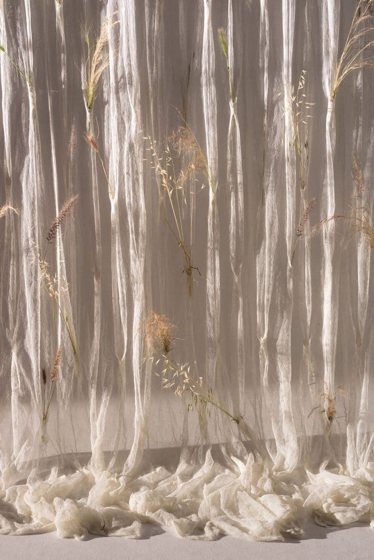Dried grasses behind sheer cloth in warm light