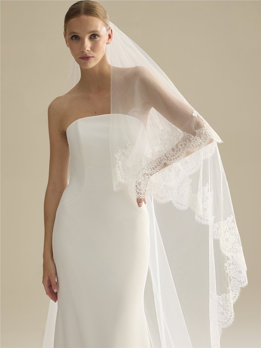 Pronovias V-LA71, tulle with Chantilly edge