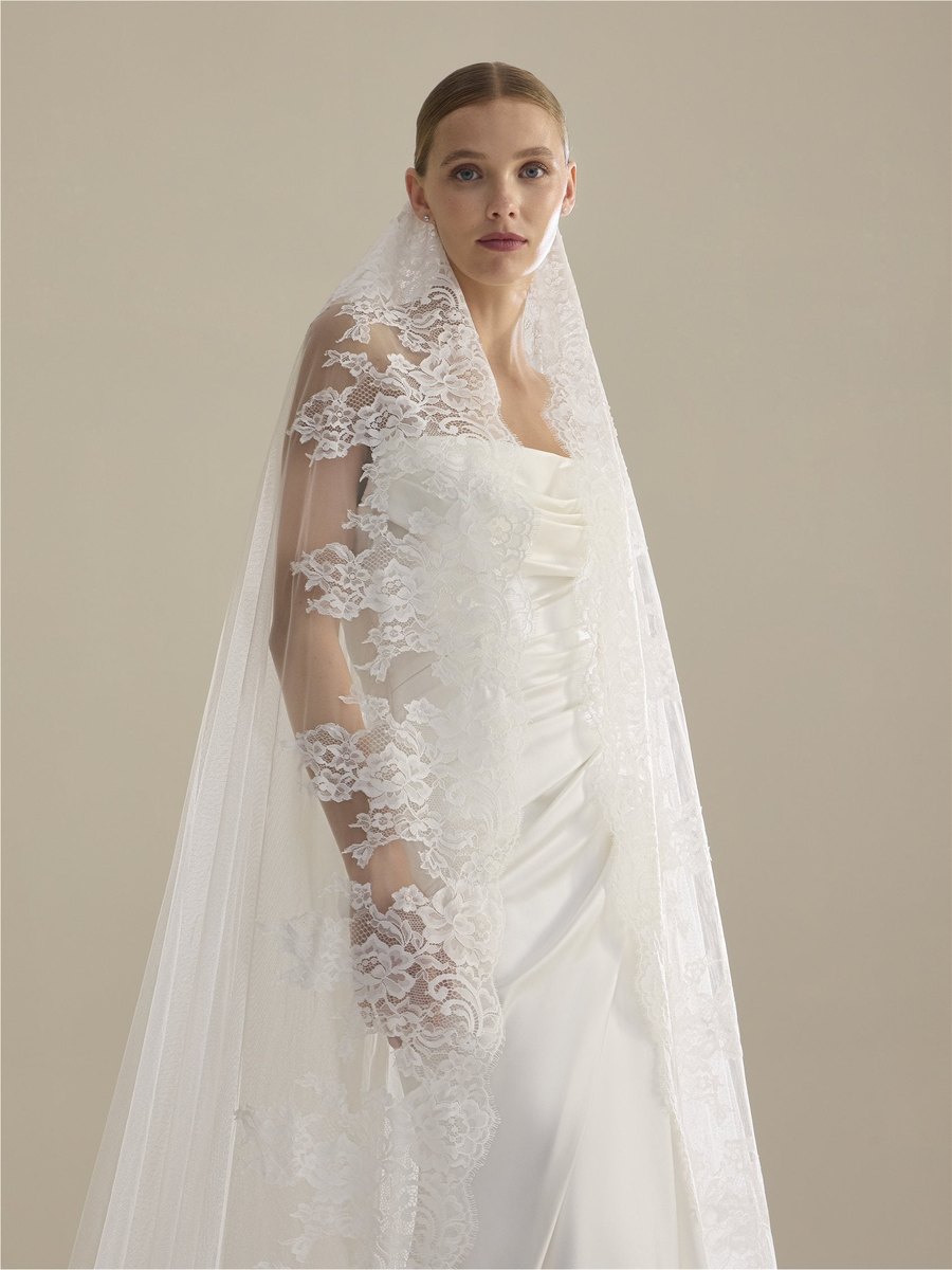 Pronovias V-LA79, tulle and Chantilly